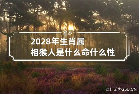 2028 生肖|2028年属什么 2028年属什么生肖的宝宝